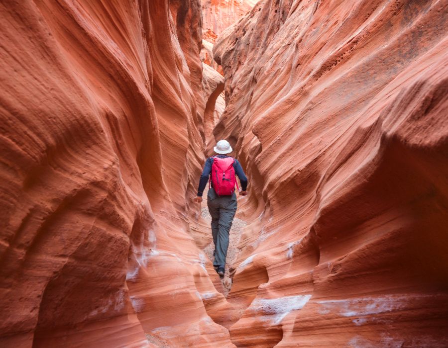 behavioral health counselor 001