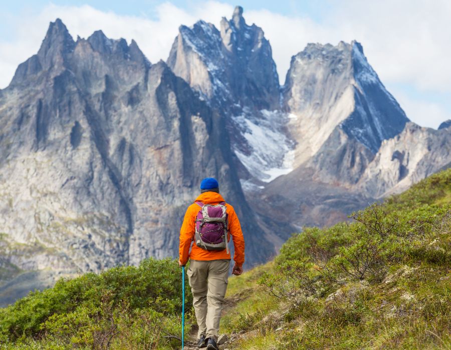 behavioral health counselor 009