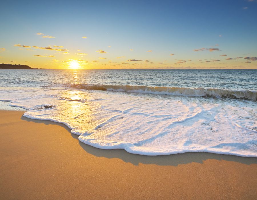 behavioral health counselor 010